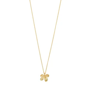 AJANI necklace gold-plated